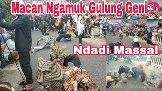 SERU BANGET MACAN NGAMUK GOLONG GENI NDADI MASSAL MUDA SAKTI LVE SOOGO PURI 