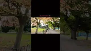 AUTUMN COLOURS IN UK | Ev in town