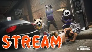 Playerunknown's Pattlegrounds - Ломают Нас Енотом Полностью) #PANDAPLAY
