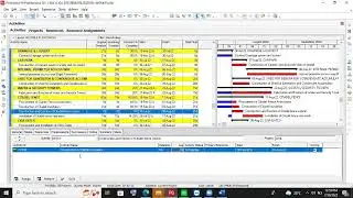 How to resolve Out-of-Sequence activity in P6 Professional