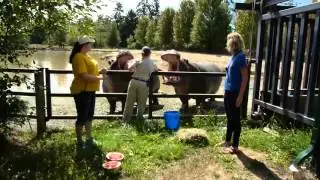Is Hippo Milk Pink?