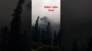Gabin Jaba swat #gabinjaba#swat#treding