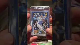 The Retail &ldquo;Royal&rdquo; Blue Conspiracy!?