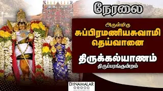 🔴Live: திருப்பரங்குன்றம், அருள்மிகு சுப்பிரமணியசுவாமி-தெய்வானை திருக்கல்யாணம்