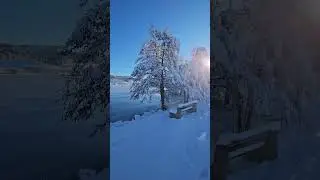Frozen Lake in Velenje - Slovenia