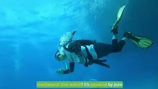 Dive Watches: From Military Tool to Modern Icon | A Timeless Evolution