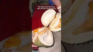 Khui Black thorn nấm h&ocirc;m xem hư kh&ocirc;ng #saurieng #sầuri&ecirc;ng #ซาวเอิง #榴莲 #durian 