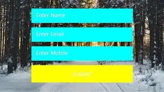 Hoverable Form in HTML and CSS
