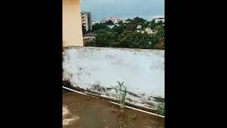 Todays weather ( indore 1 August 2021)