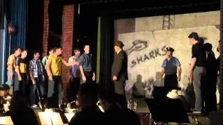 Jets and Sharks fight