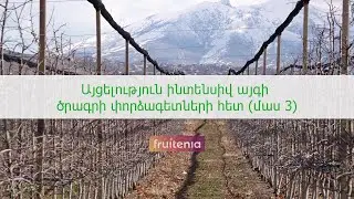 Այցելություն ինտենսիվ այգի ծրագրի փորձագետների հետ (մաս 3)/ Visit to private intensive orchard