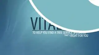 Minneapolis Tree Removal Service