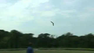 Hacker HotWing 1200 EPP flying wing