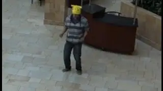Harlem Shake - Epic Mall Version