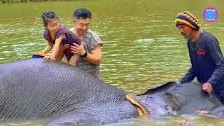 Elephant Care Park Phuket