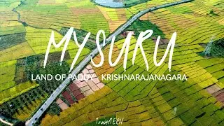 Land of Paddy - Krishnarajanagara, Mysuru - DJI Mavic Mini - Cinematic Drone Video - TravelTECH