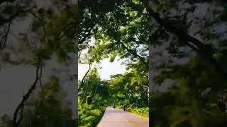Bike নিয়ে ঘুরাঘুরি 🚴&zwj;♂️ | Titas&ndash;Banchharampur Highway View | Short Ride| #viral #travel #highlights
