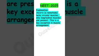 NEET 2025 Biology | Chapter 4: Top 5 Must-Solve Questions | Crack Animal Kingdom | Quiz4NEET