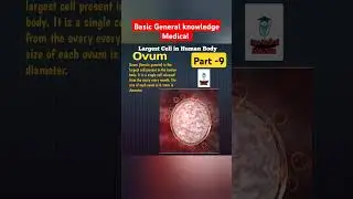 Largest Cell in Human Body@FreeMedicalEducation-ld3sf#medical#nursing#viralshortsvideo#Viral#ovum