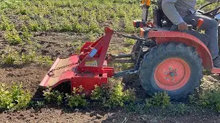 MİNİ TRAKTÖR KUBOTA B1820