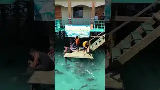 Sibadan Fish Cage Enchanted River Hinatuan Surigao del Sur Mindanao Philippines