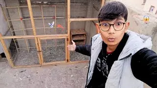 Sub Bird's Kha Chala Gay 😱