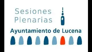 Pleno ordinario - 17/12/2025
