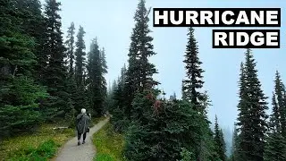 Olympic National Park's Hurricane Ridge Trails & Scenic Drive | Best 360 Views In The Park