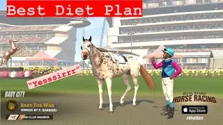 Diet Plans Tips In Rival Stars Horse Racing 👀
