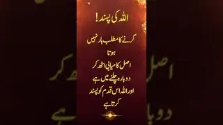 &ldquo;Allah&rsquo;s Help Comes When You Take the First Step 🤍&rdquo;