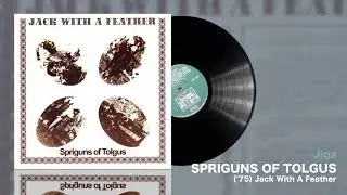 🇬🇧 Spriguns of Tolgus &ndash; (&rsquo;75) Jack With A Feather : Forgotten Progressive Rock Gems #167