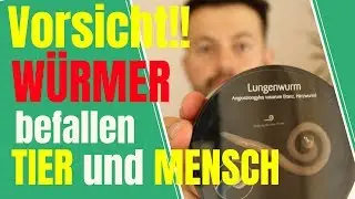 Entwurmung von Hund und Katze - Warum und wie oft?