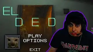 EL DED 🗣