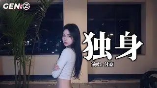 付豪 - 独身│Fu Hao - Du Shen『往往最孤单最寂寞的人，都藏着炙热的灵魂』【动态歌词MV】