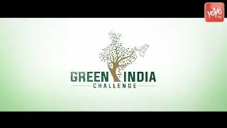Green India Challenge || Spl Story on TRS MP Joginapally Santosh Kumar || Telangana || YOYO Times