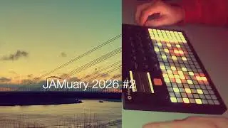 Jamuary 2026 #2  A @Polyend new sample pack 'Kinetics' from @VenusTheory  on the #polyendplay