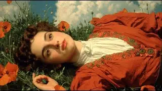 Visual Poem |  Falling into 'The Poppy Field' | A Symphony of Colors