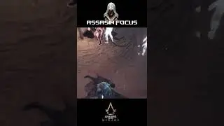 Assassin Focus in AC Mirage #acmirage  #assassincreed