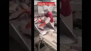 This is how they process seafood in alaska #shorts