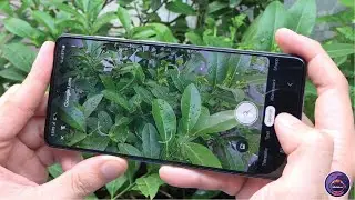 Google Camera 8.2 for Samsung Galaxy A71 | Gcam vs Camera Stock