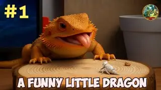 Забавные выражения животных, часть №1/beardeddragon cute/маленький дракон милый/милые выражения ж...