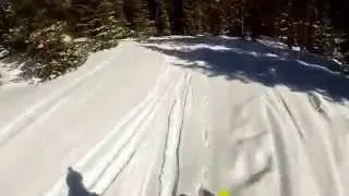 Tree skiing Eagle Wind at Winter Park