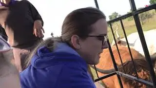 Dutch Creek Animal Farm II