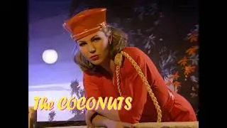 Did You Have To Love Me like you did - The Coconuts (1983) Videoclip - HQ Audio