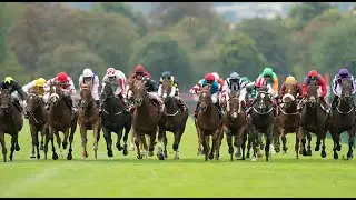 【COMPIEGNE HURDLE】 FRENCH HORSE RACE ANALYSIS