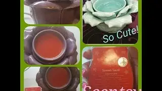 Scentsy Petal Purple Element Warmer