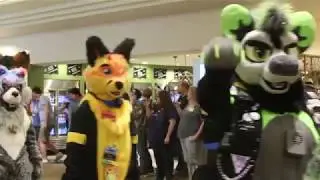TFF 2019 Fursuit Parade!