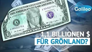Die Welt als Supermarkt: Kann Trump Grönland kaufen?