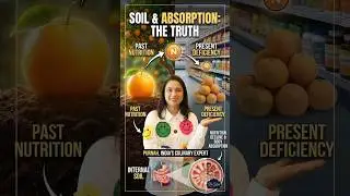 Why Your Body Rejects Vitamins: Soil Inside & Out ft. Purna | Be you with Shraddha S Podcast