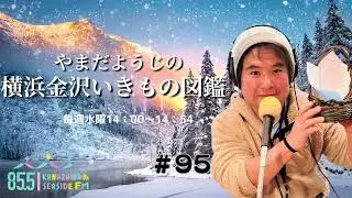ラジオ番組『やまだようじの横浜金沢いきもの図鑑 ＃９５ 』20251210放送回